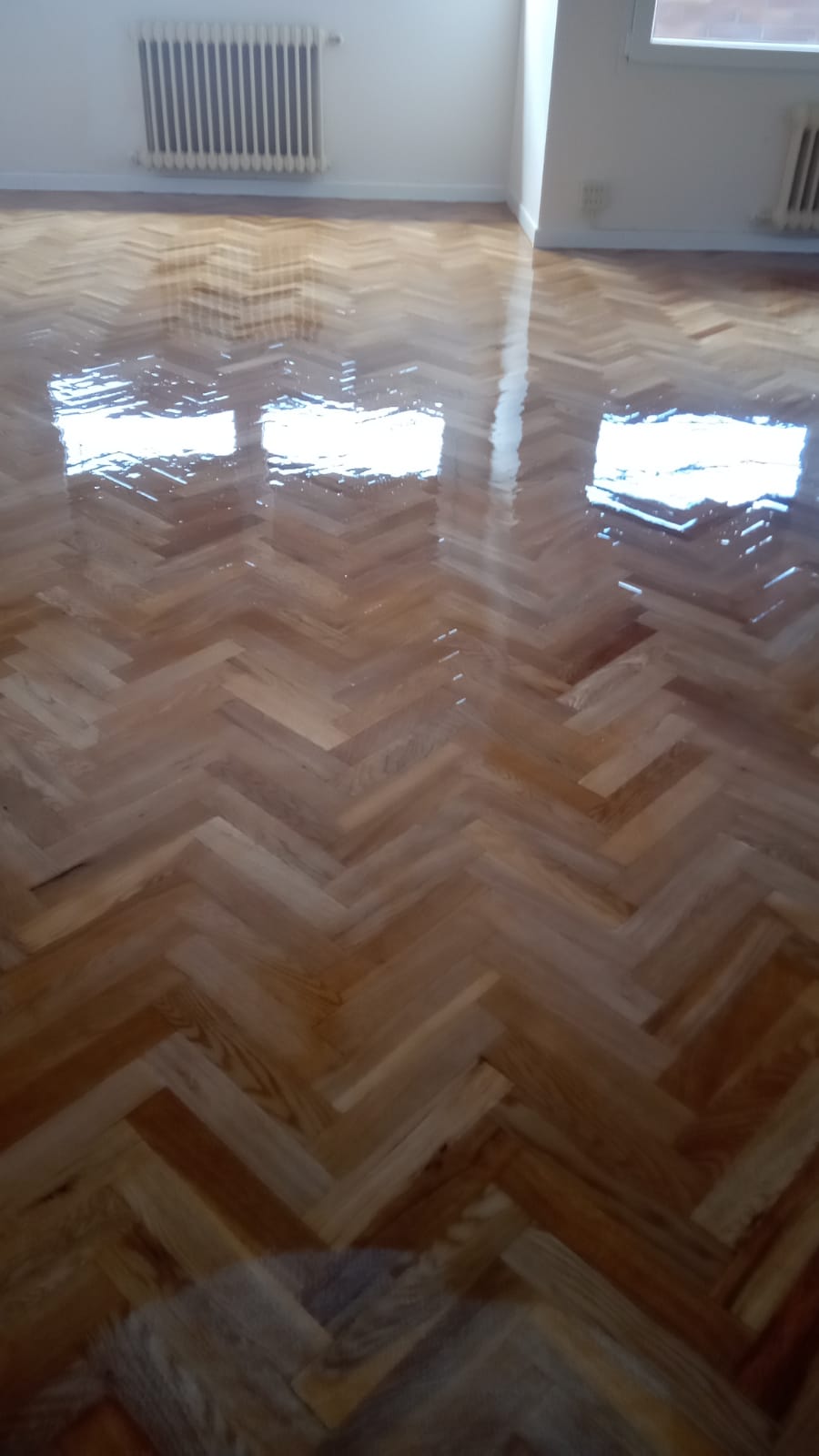 Trabajo realizado