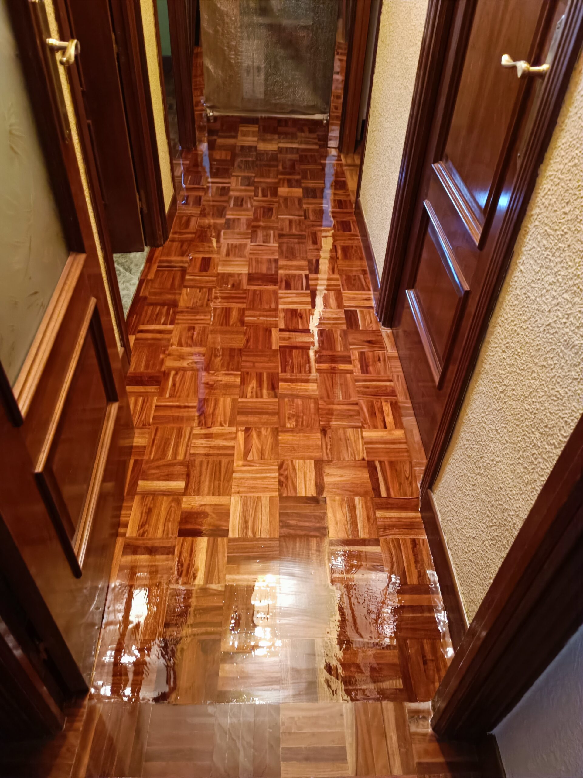 Trabajo realizado